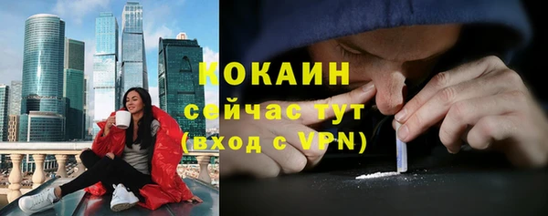 метадон Гусев