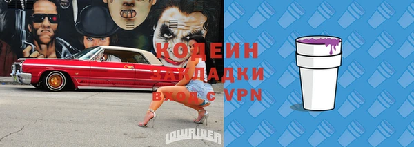 apvp Гусиноозёрск