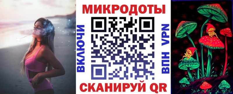 Купить  Катайск  Псилоцибиновые грибы мицелий 